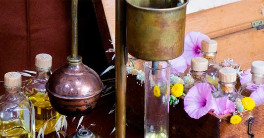 ¿Cómo se elabora un perfume?