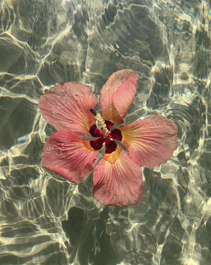 Perfumes Verano Mujer