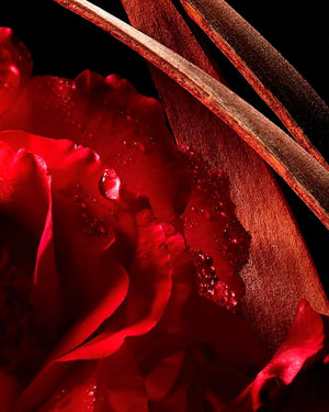 Perfumes Árabes Mujer