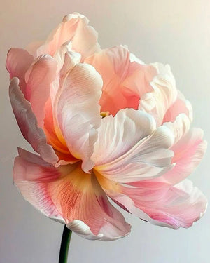 Perfumes Florales Mujer