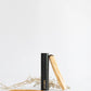 Helechos y Vetiver (LOE)