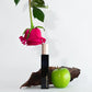 Agua de Magnolia (THT)