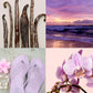 Body Mist Violet Cloud